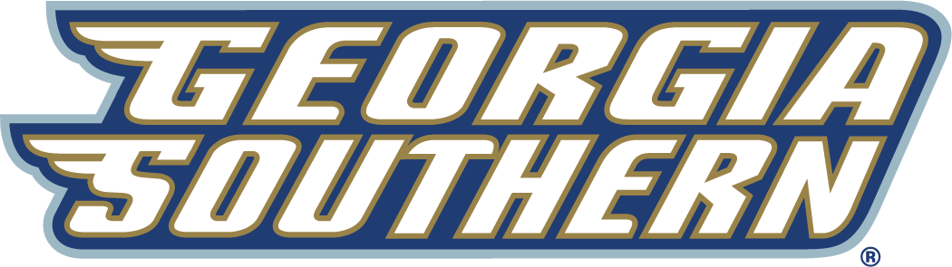 Georgia Southern Eagles 2004-Pres Wordmark Logo v3 diy iron on heat transfer